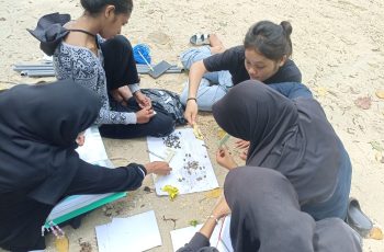 Mahasiswa MSP FPIK Unpatti Terapkan Ilmu di Lapangan: Praktikum Terpadu pada Kawasan Ekosistem Mangrove Pantai Suli